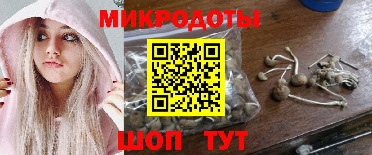 Галлюциногенные грибы Cubensis  Вход с VPN  Клин 